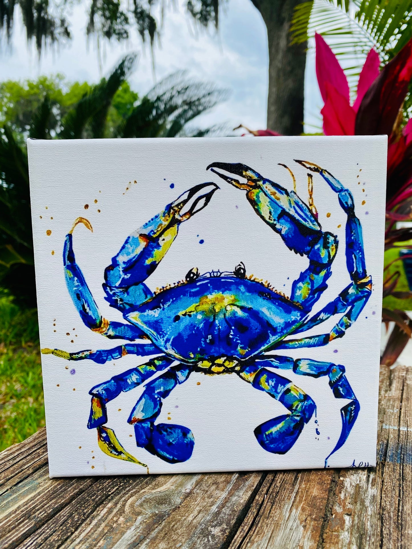 Canvas Prints