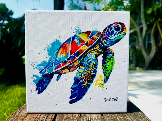 Canvas Prints