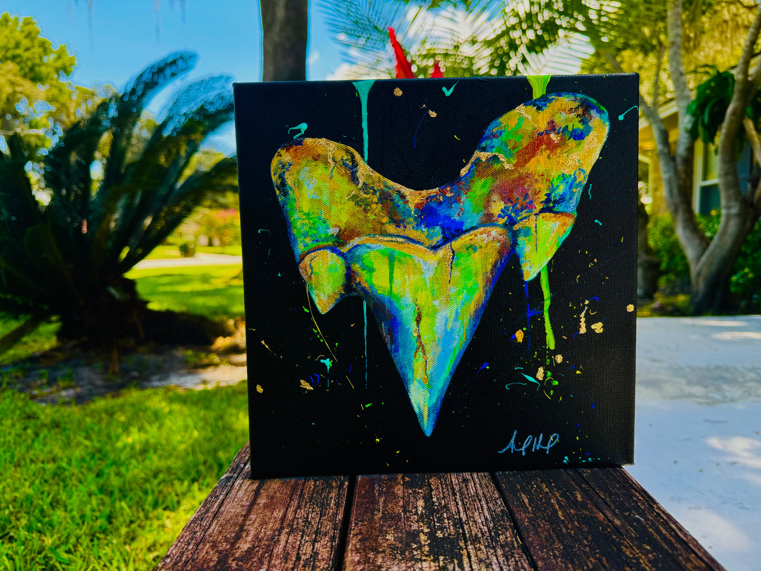 "Meg" The Megalodon Tooth Collection: